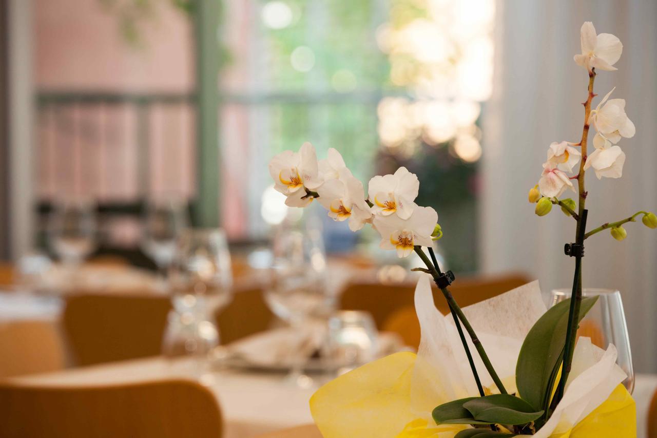 Hotel Rosanna 3 Stelle Superior Τζεσόλο Λίντο Εξωτερικό φωτογραφία